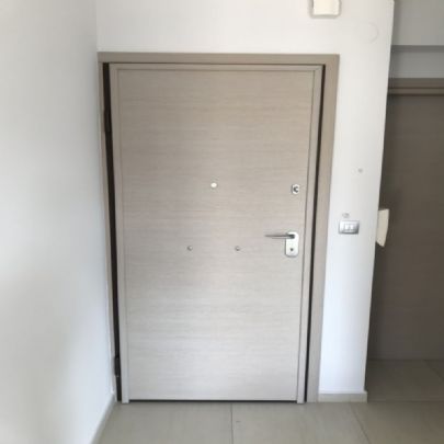 Armored Door